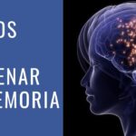 Juegos de memoria divertidos para ejercitar el cerebro de adultos mayores