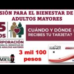 Pensión de bienestar para adultos mayores en gob.mx: ¿Cómo funciona?